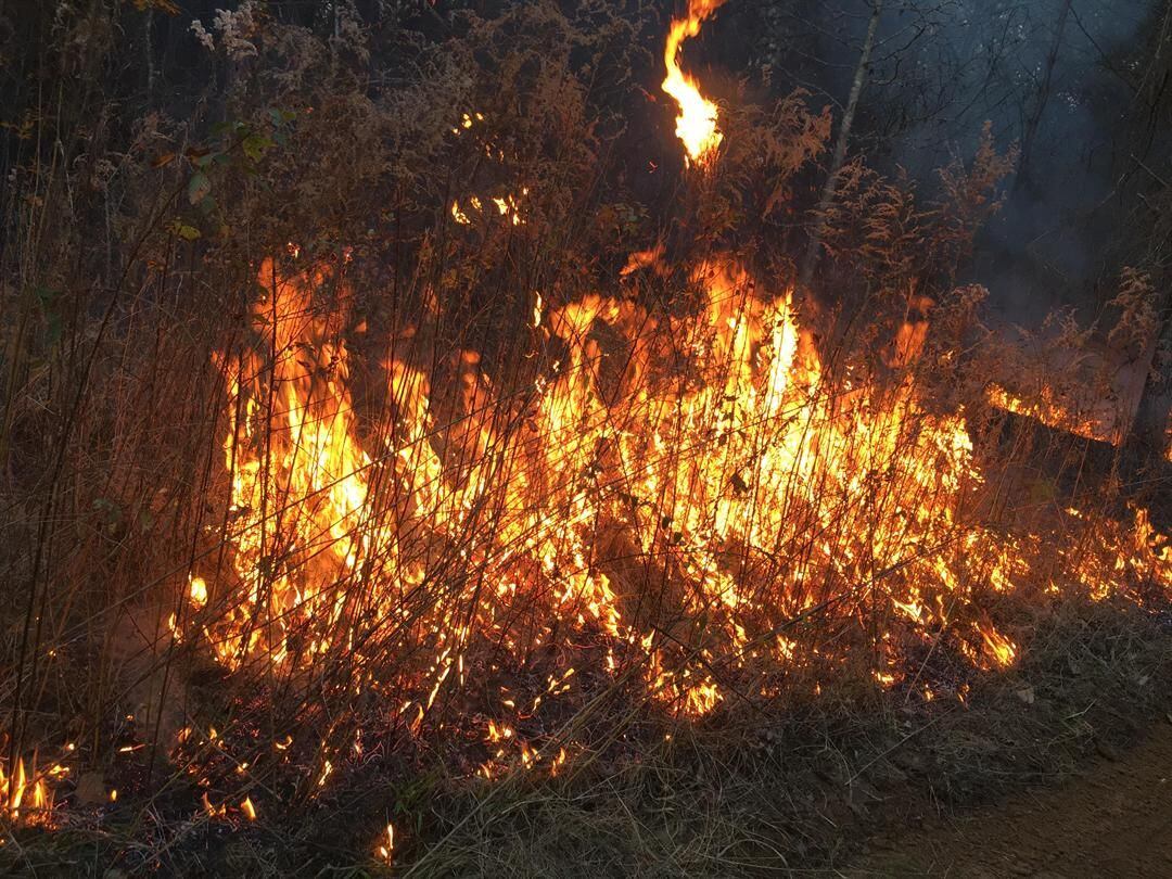 Small Wildfire Contained Within An Hour Behind Hattiesburg Target