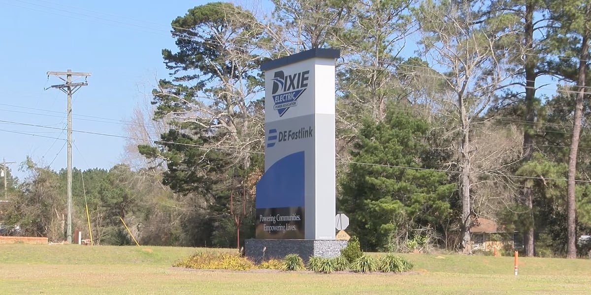 Dixie Electric opens annual board elections; members could win bill credit