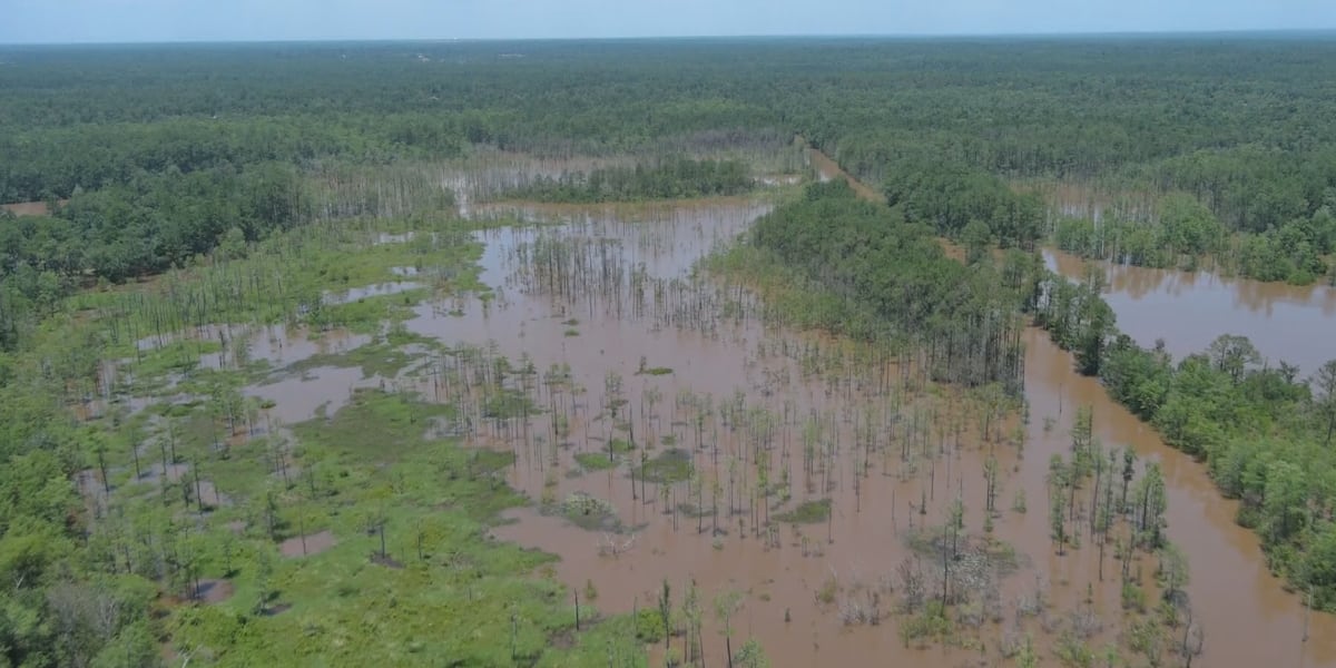 Trump approves state's Major Disaster Declaration for Tropical Storm Arthur