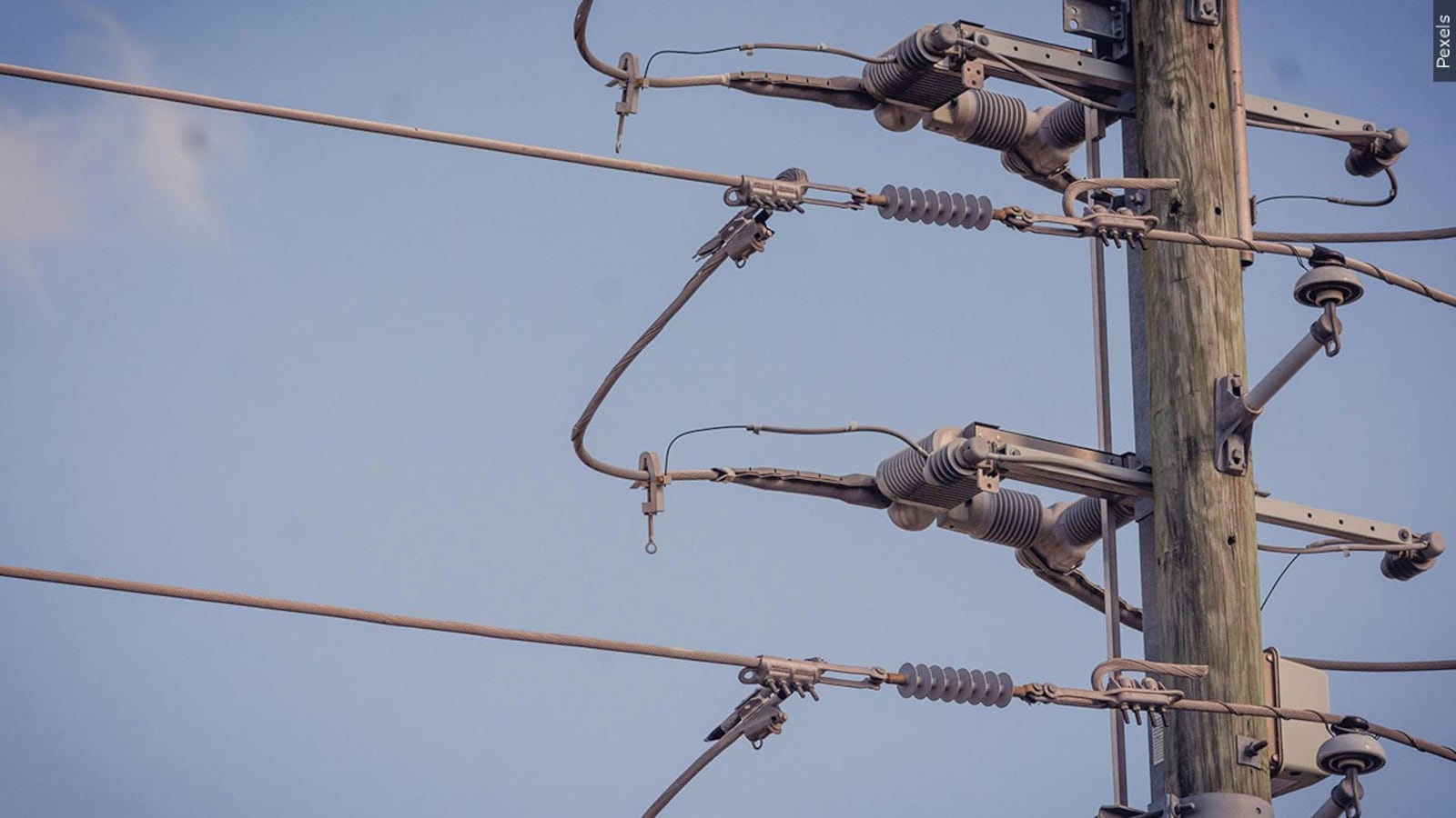 Over 900 homes without power after tree hits power line