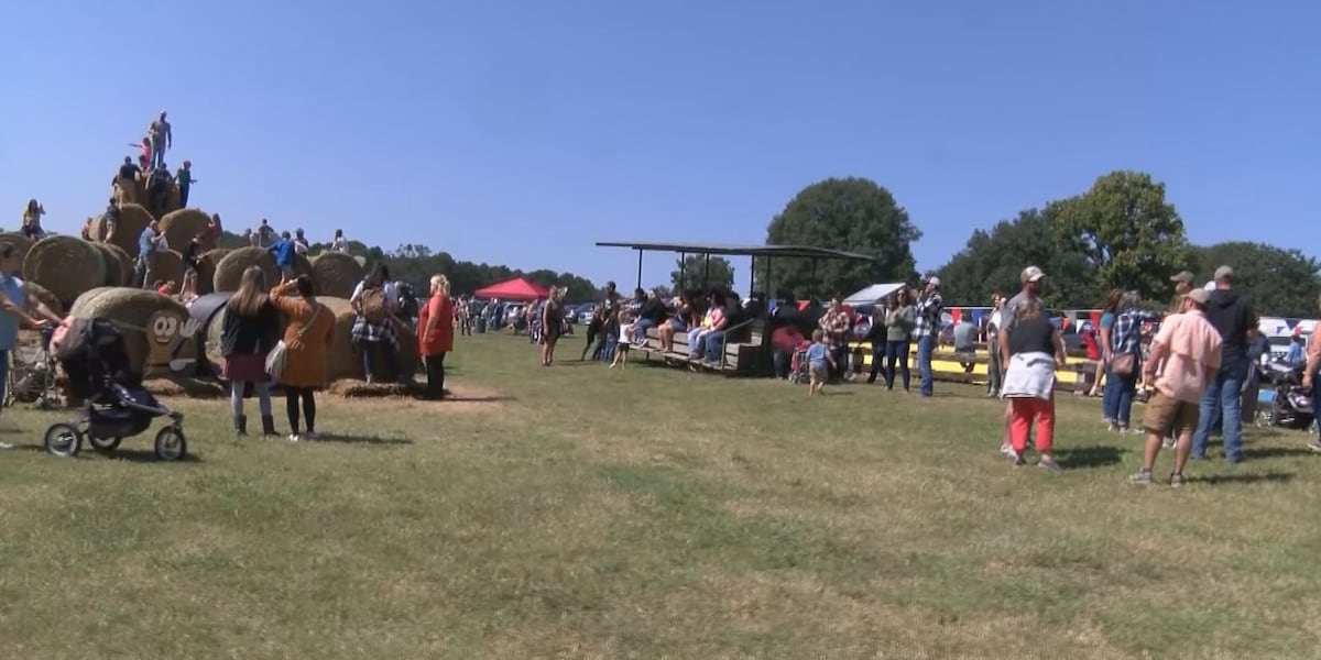 Mississippi Peanut Festival returning to Collins Saturday