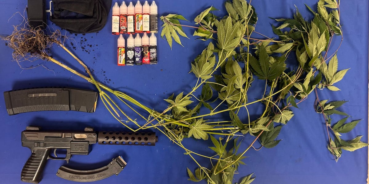 Teen charged after ‘Cobb' bottles, marijuana plants and firearm seized from Laurel home, police say