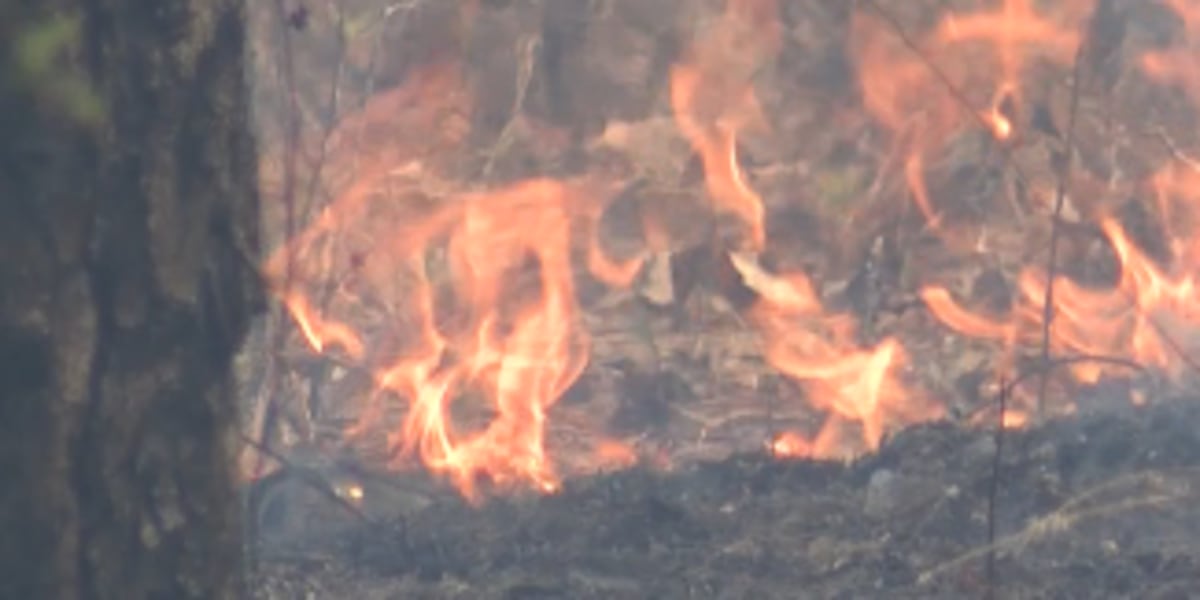 Spring Cover Fire Spring brings increased wildfire threat
