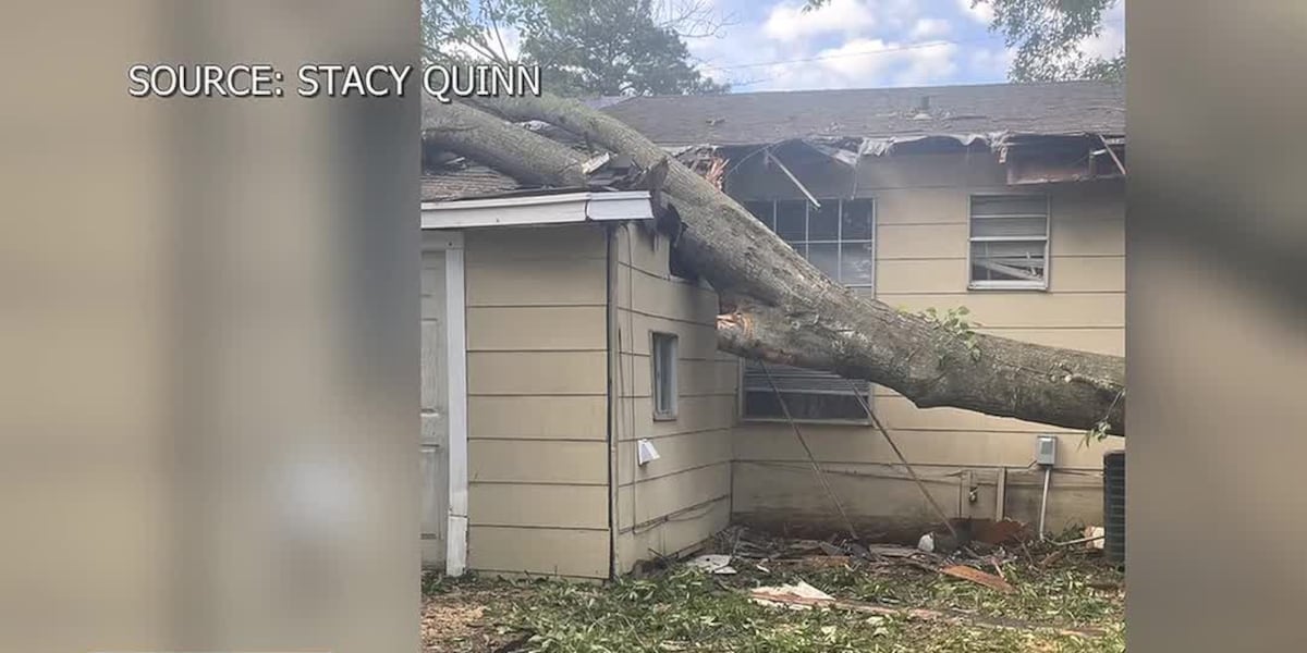 Tree service drops tree on house, now dodging owner's calls