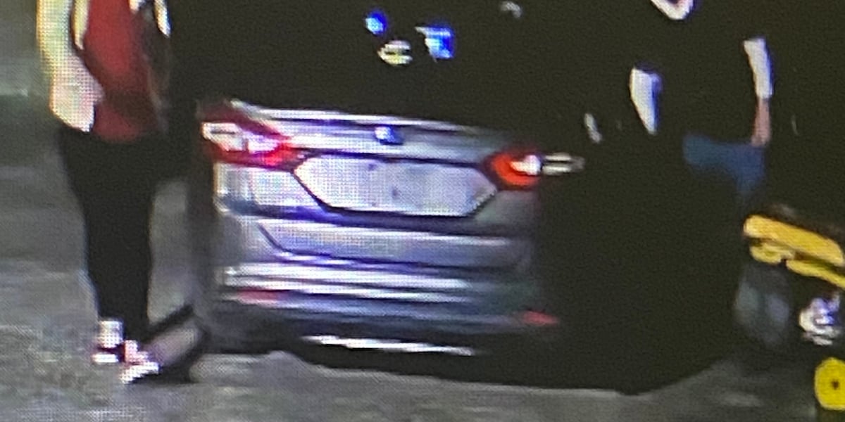 Hpd Suspects Wanted In Commercial Burglary Investigation Hpd Suspects Wanted In Commercial Burglary Investigation