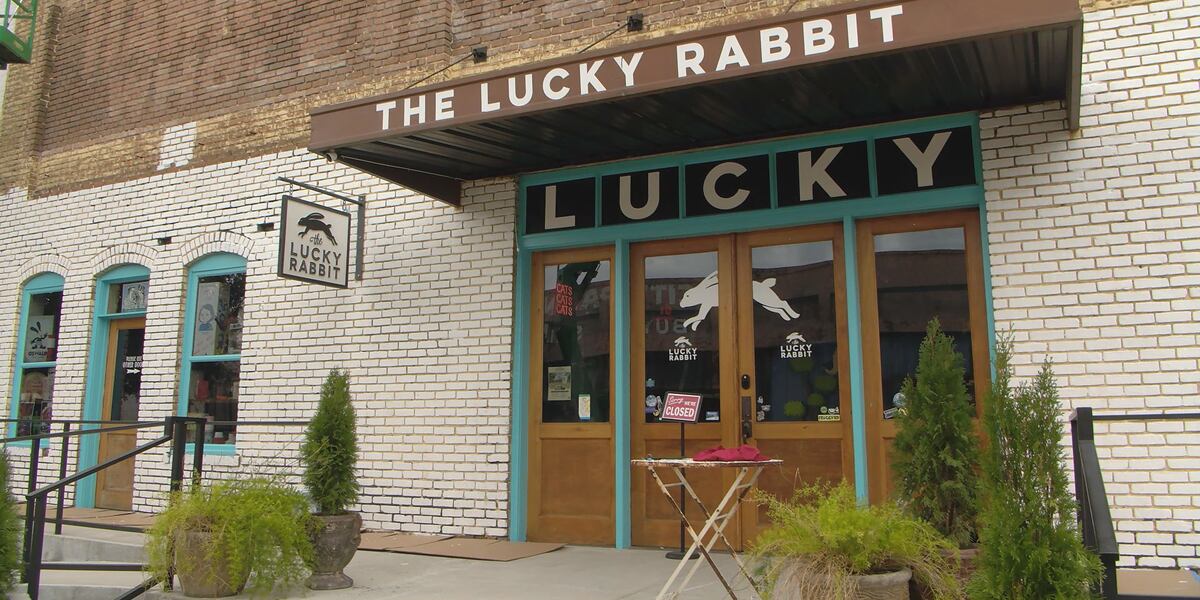 Lucky Rabbit Botique Sneak peek at Lucky Rabbit’s new exhibits