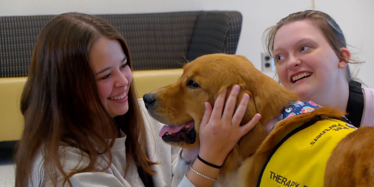 Abc Handler Hattiesburg handlers hope to grow therapy dog network