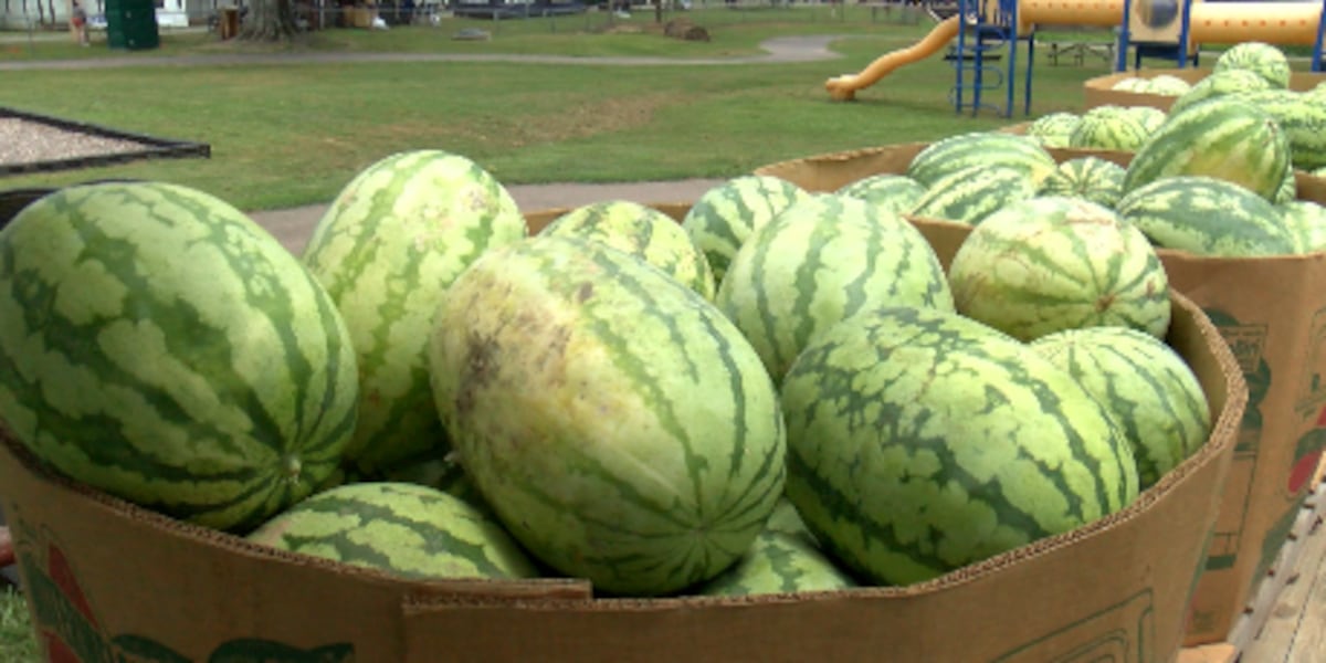 48th Mississippi Watermelon Festival underway in Mize
