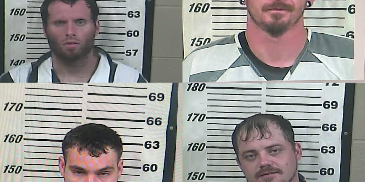 Perry Ga Inmate Perry Co. make four felony arrests in past week