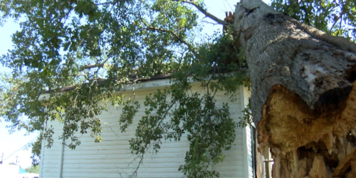 Straight line winds damage one dozen structures in Waynesboro