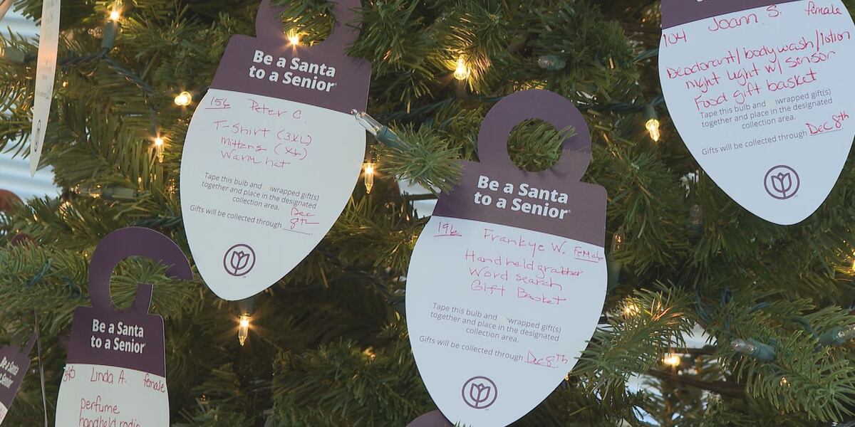 Home Instead brings Christmas joy to seniors for 17th year