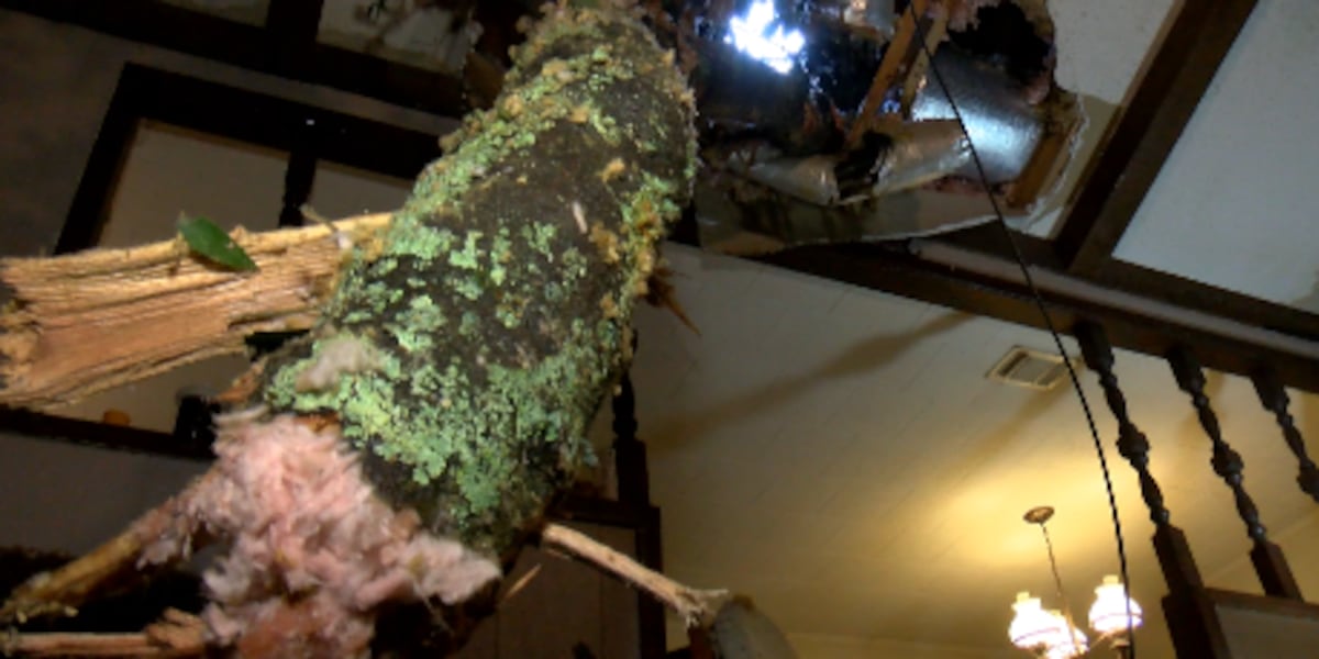 Residents uninjured after tree crashes into Jones County home during storm