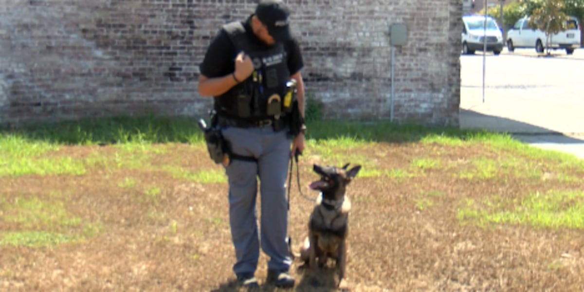 Columbia police K9 to get donated protective vest