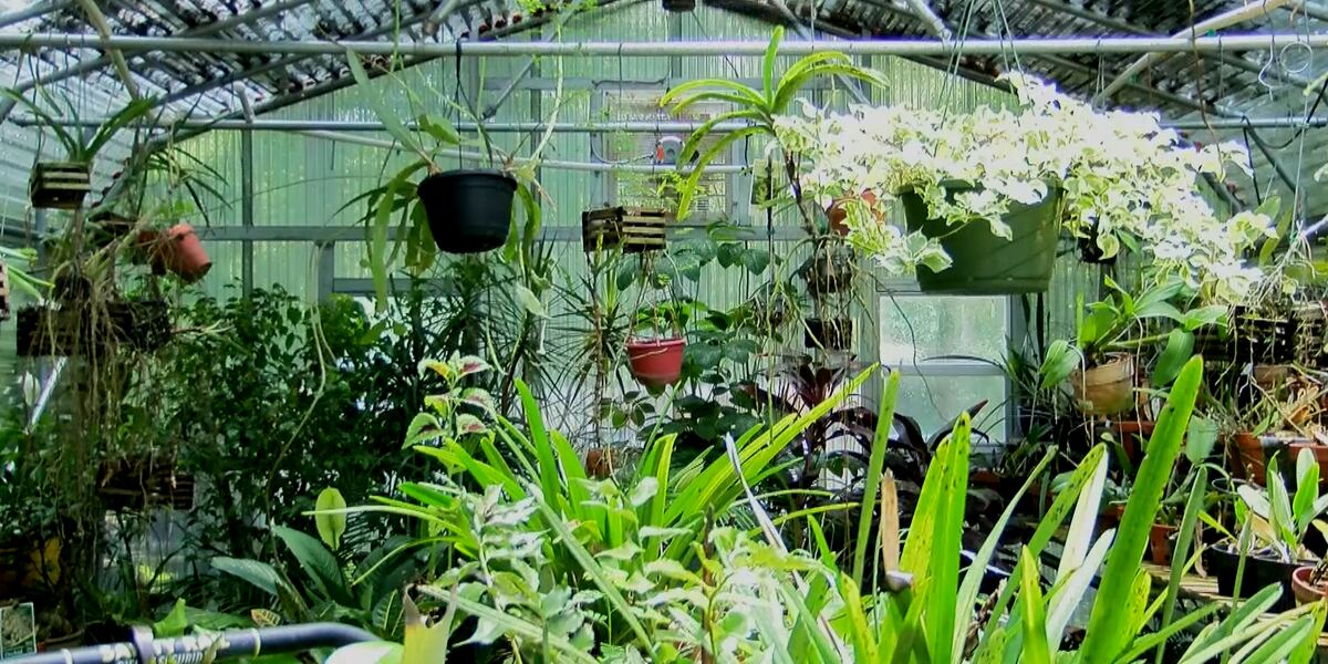 Master Gardeners will be hosting ‘Grooving Into Spring’ event