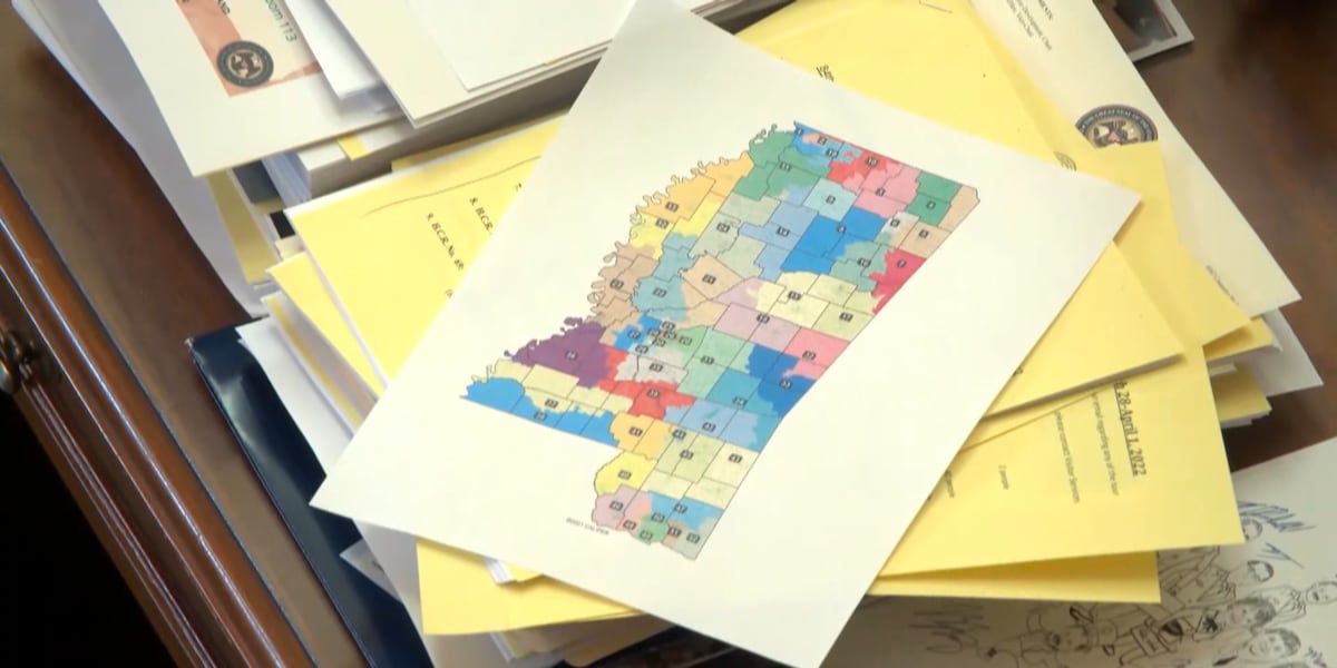‘We'll have 4 in 10 years': State considers redistricting again
