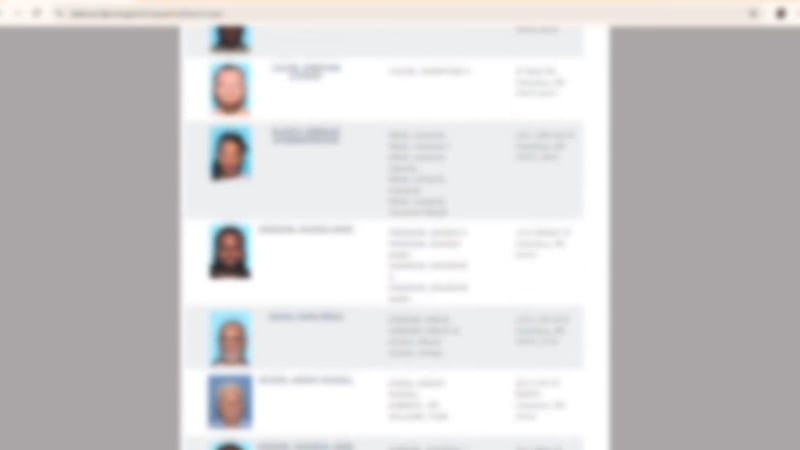 A blurred out search done on the Mississippi Sex Offender Registry.
