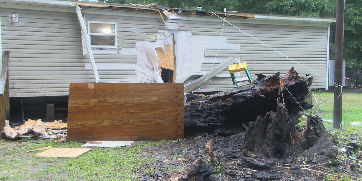 ‘This ain't no good thing,': Tree falls into Beaumont family's home after double lightning strike