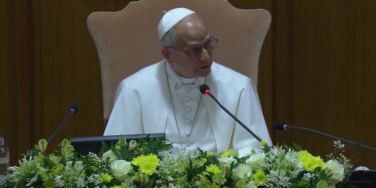 Pope Leo warns of AI fueling warfare in first major theological document - WDAM-TV