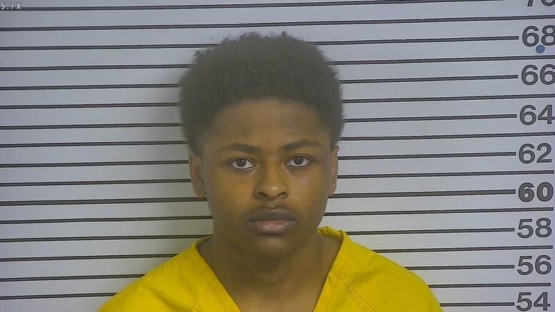 Police arrested 18-year-old Stephen Johnson of Hattiesburg following an incident in the area...